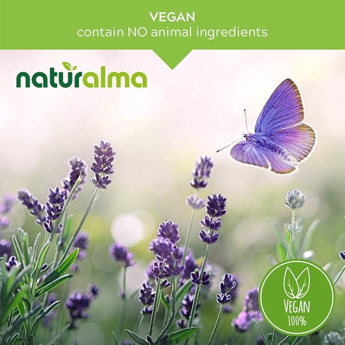 Naturalma Reishi (Ganoderma lucidum) Fungus or Mushroom Alcohol-Free Tincture - 6.76 fl oz Liquid Extract in Drops - Herbal Supplement - Vegan