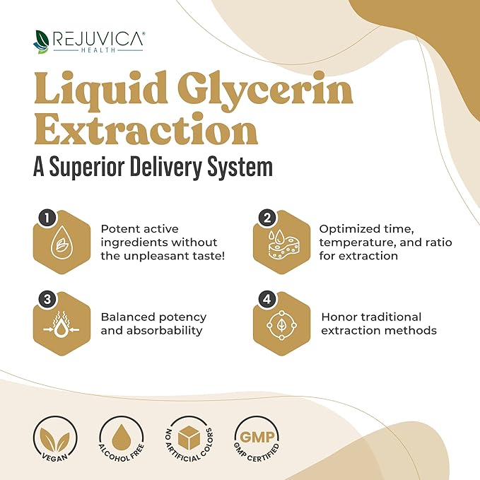Rejuvica Health Active Maca - Advanced Maca Root Extract - Peruvian Ginseng - Liquid Delivery for Better Absorption - Supports Energy & Vitality