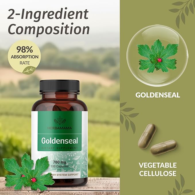 HERBAMAMA Black Elderberry and Goldenseal Kit - Bundle of Elderberry Extract & 700mg Goldenseal Root Capsules - Vegan, Non-GMO, Sugar & Gelatin-Free - 2 Pack