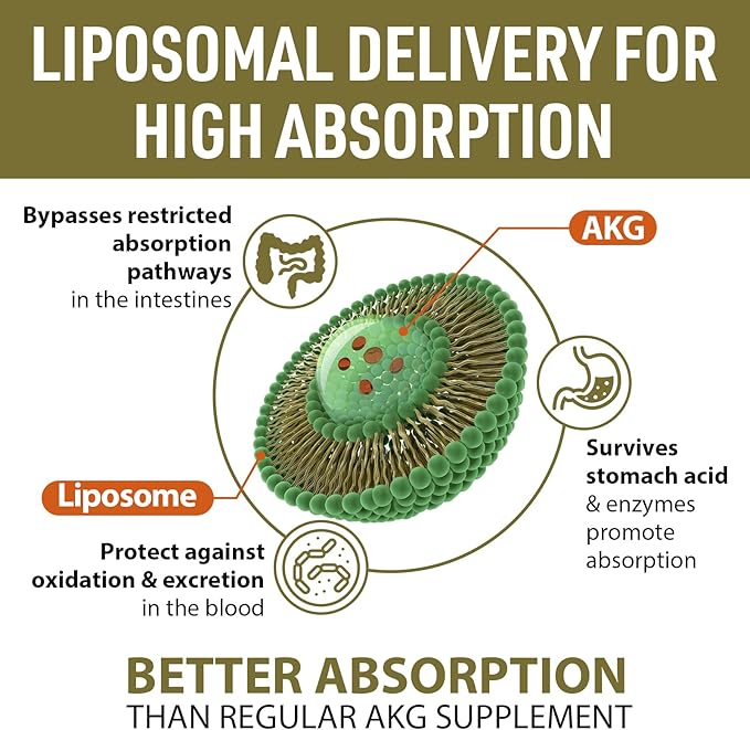 Liposomal Calcium AKG Supplement 1500 MG (Alpha-Ketoglutaric Acid), High Absorption, More Effective Than AAKG, Ca AKG for Longevity, Age Defense, Cellular Energy, Metabolic Function, 240 Softgels