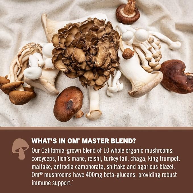 OM Mushroom Superfood Master Blend Mushrooms & Adaptogens, Creamy Chocolate Plant Protein, Single Serve, 10 Count, 10 Mushroom Complex, Lion's Mane, Ashwagandha for Energy, Recovery, Stress Relief