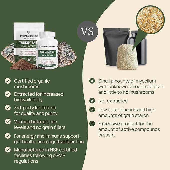 Real Mushrooms Turkey Tail Powder - Organic Mushroom Supplement with Potent Extract for Gut, Energy, Brain, Immune Support Vegan Powder, Non-GMO, 100 Servings