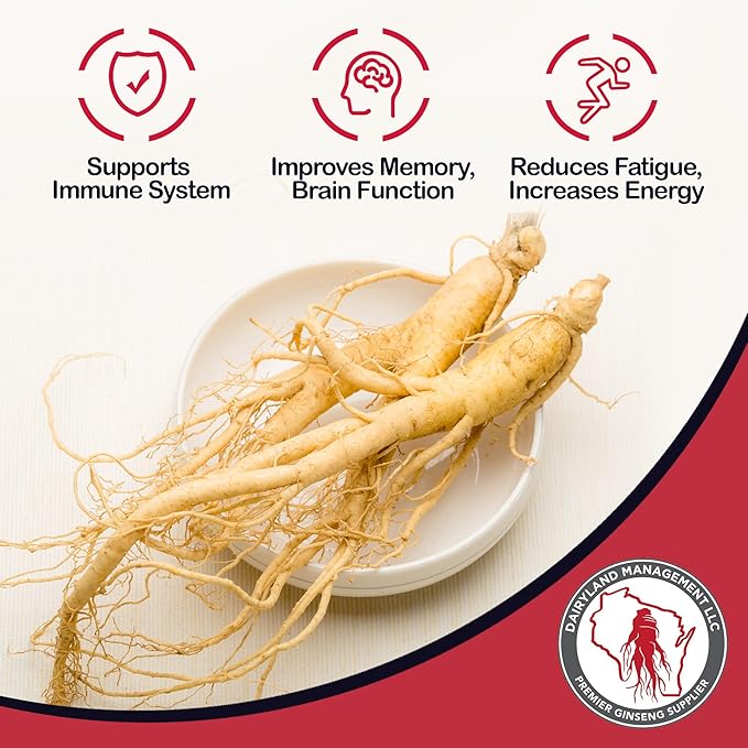 Dairyland American Ginseng Roots and Powder - 8 oz Pack Each of Wisconsin Ginseng – Direct from Farmer to Consumer 西洋参