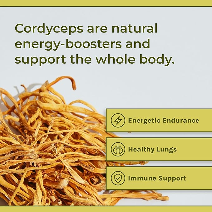 Naturealm Cordyceps Mushroom Capsules - Organic Mushroom Extract for Focus, Energy & Mental Clarity - 100% Mushroom Fruiting Bodies - Cordyceps Militaris Supplement (90 Vegetarian Capsules)