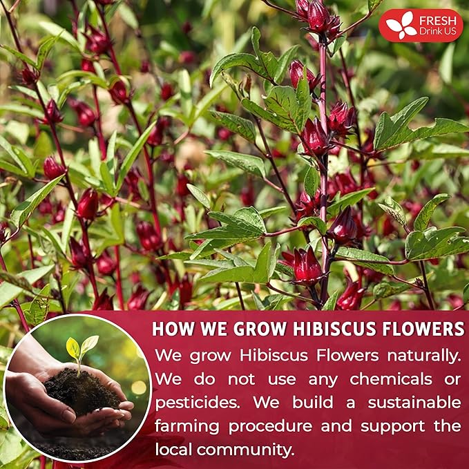 FreshDrinkUS, Premium 28oz Hibiscus Flower Powder, 100% Natural and Pure from Hibiscus Flowers, Natural Food Coloring, Hibiscus Flowers Tea, No Additives, No Gluten, No Sugar, Vegan