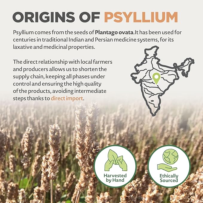 NaturaleBio Whole Psyllium Husk. 1.5lbs. 99% Pure Psyllium Seed Husks. Natural Fiber Supplement. USDA Organic Certified. Produced in India. Gluten Free, Keto, Paleo, Vegan Diets. Probiotics