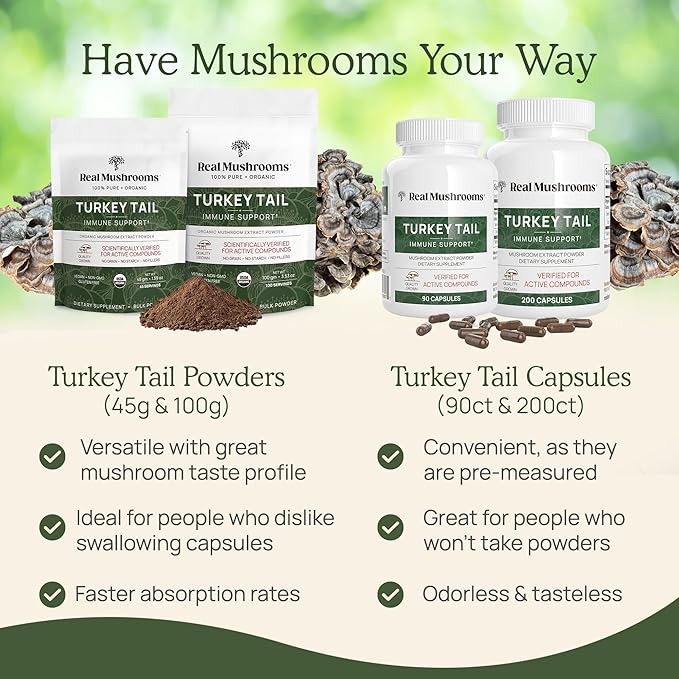 Real Mushrooms Turkey Tail Powder - Organic Mushroom Supplement with Potent Extract for Gut, Energy, Brain, Immune Support Vegan Powder, Non-GMO, 100 Servings